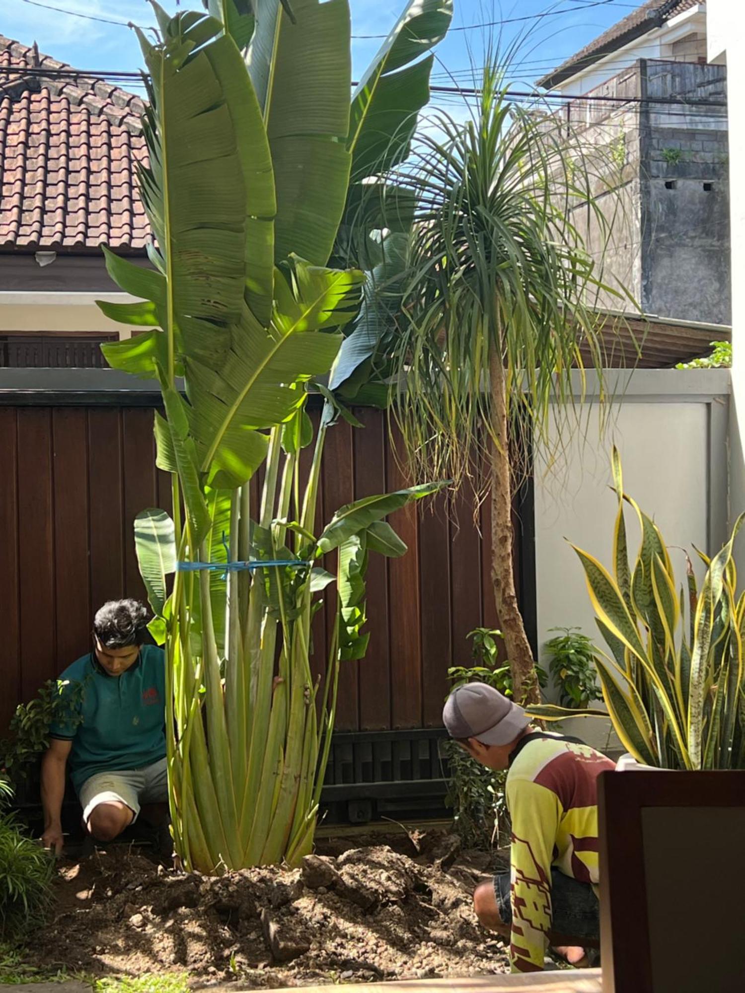 Villa Makmur Kerobokan  Luaran gambar